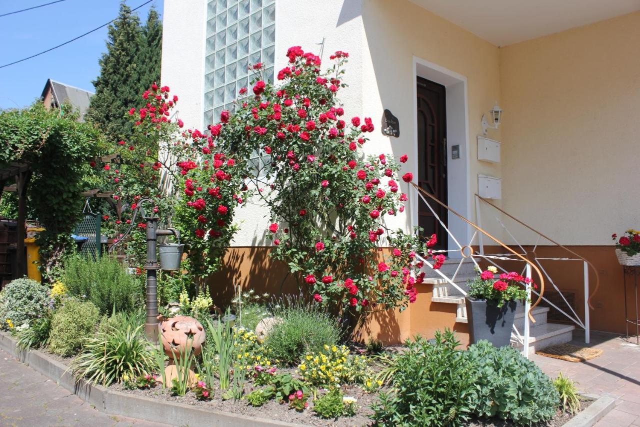 Ferienwohnung Rosemarie Kamp-Bornhofen Dış mekan fotoğraf